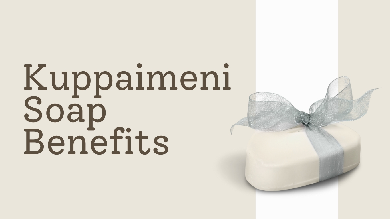 Kuppaimeni Soap Benefits